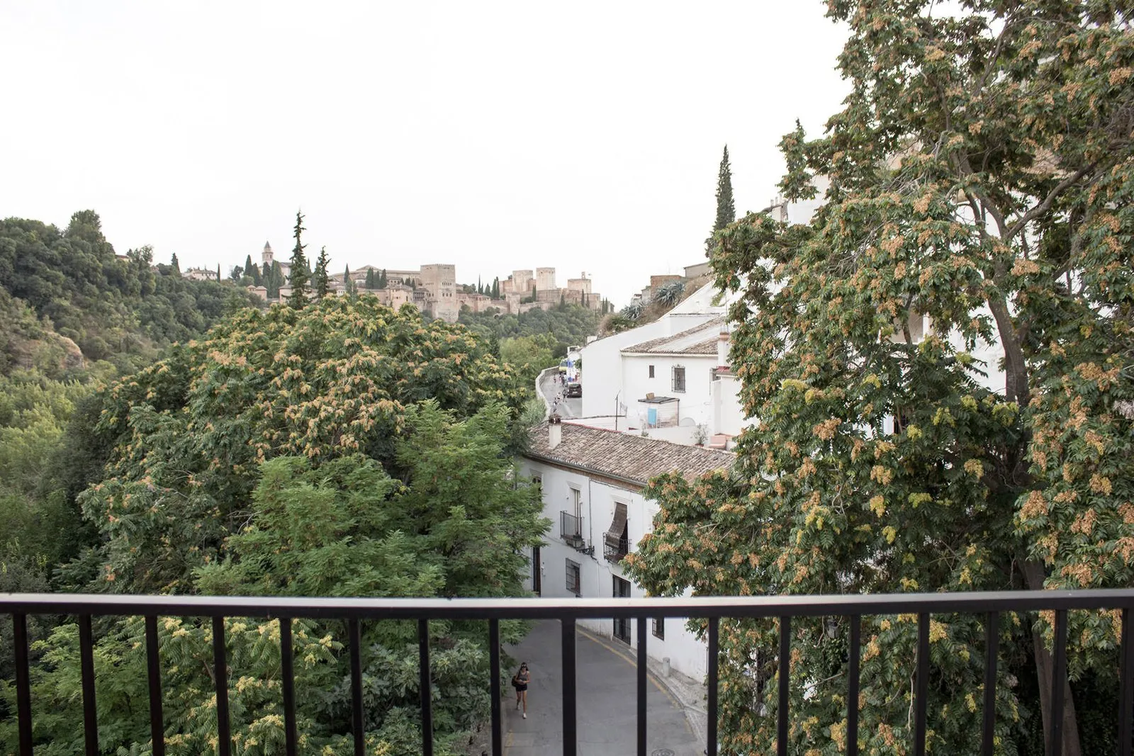 View from the terrace over the Alhambra woods and the houses of the neighbourhood